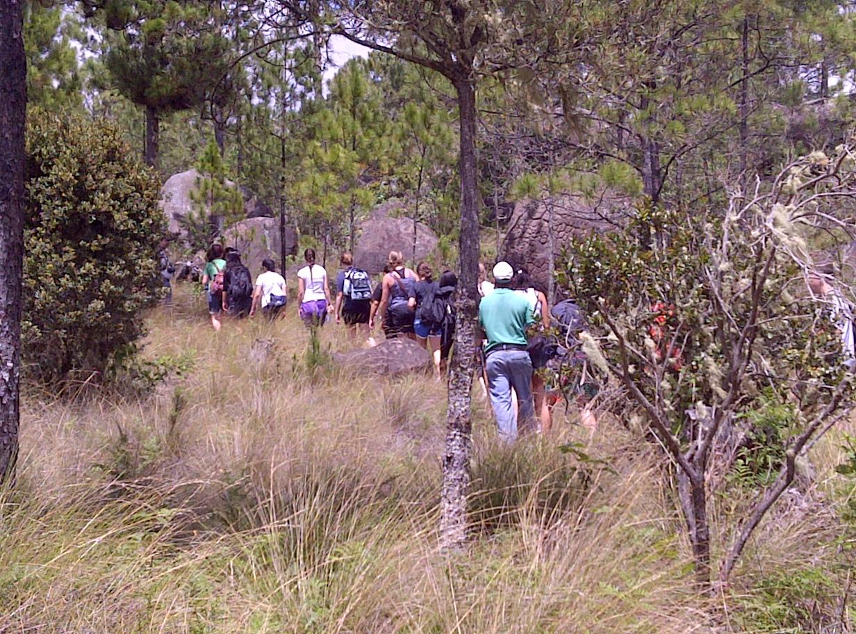 Walking Alongside the Community