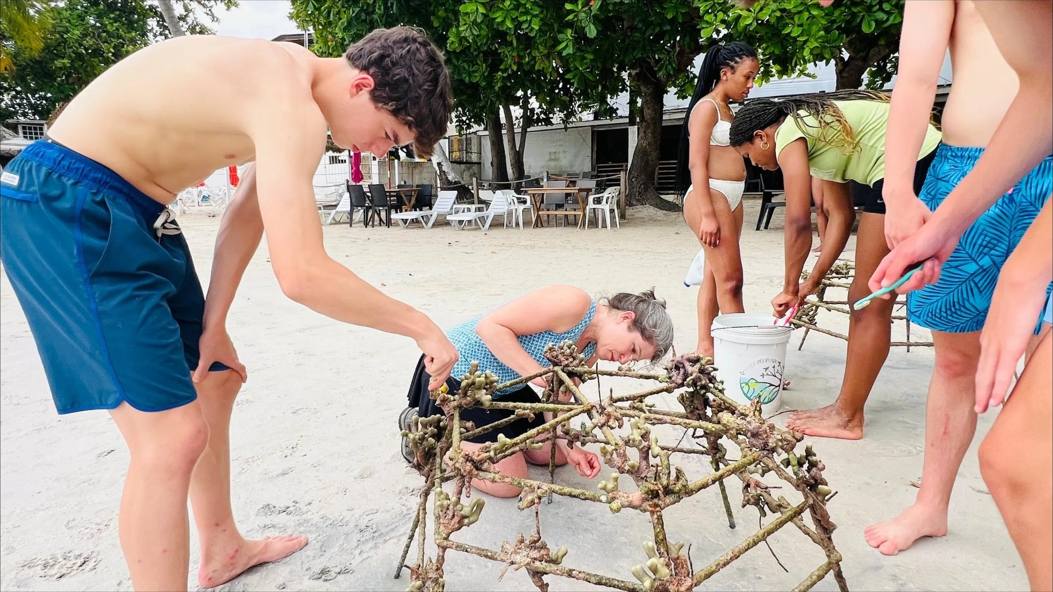 Coral restoration
